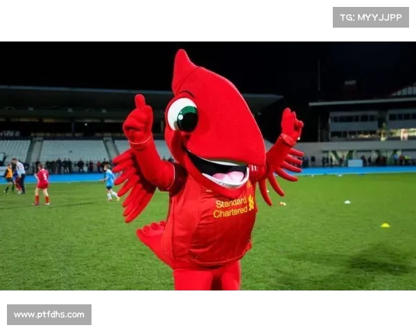 英超吉祥物背后的故事与文化象征解析 让球迷更亲近赛事 英超吉祥物背后的故事与文化象征解析 让球迷更亲近赛事